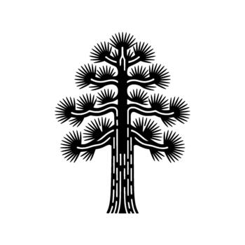 A stylized silhouette illustration of a majestic coniferous pine tree with spiky needles and a textured trunk isolated vector