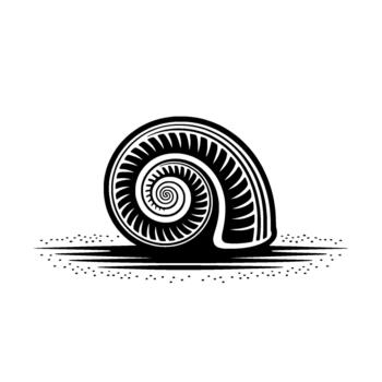 estilizado ilustración de un nautilo cáscara espiral con intrincado patrones vector