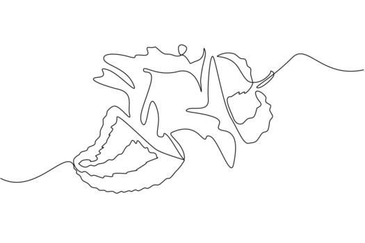 Single continuous line drawing soursop is cut into 2 parts and the bottom part releases splash juice. Sweet fruit with antioxidant content. Fresh. Juice Splash. One line illustration vector