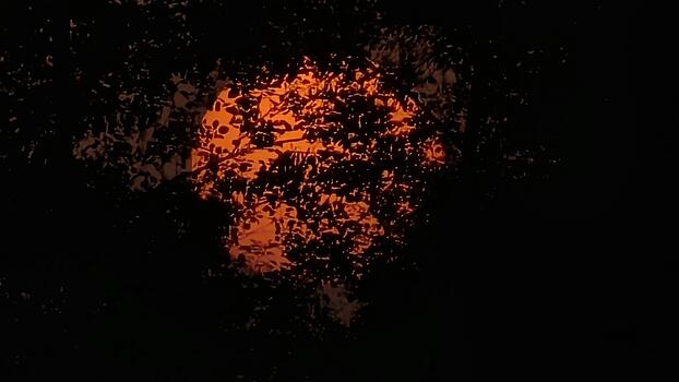 Intense sunset viewed through a thicket of branches, forming an intricate design of light and darkness with a captivating and dramatic effect photo