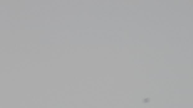 Abstract gradient background with silhouetted bird, creating a sense of depth and minimalist aesthetic, with natural element and soft light photo