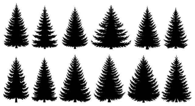 colección de doce distinto negro silueta representando varios formas y tamaños de hojas perennes pino arboles vector