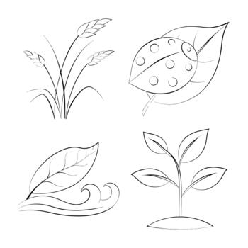 Line art sketches featuring nature elements grass leaf bug and sapling vector
