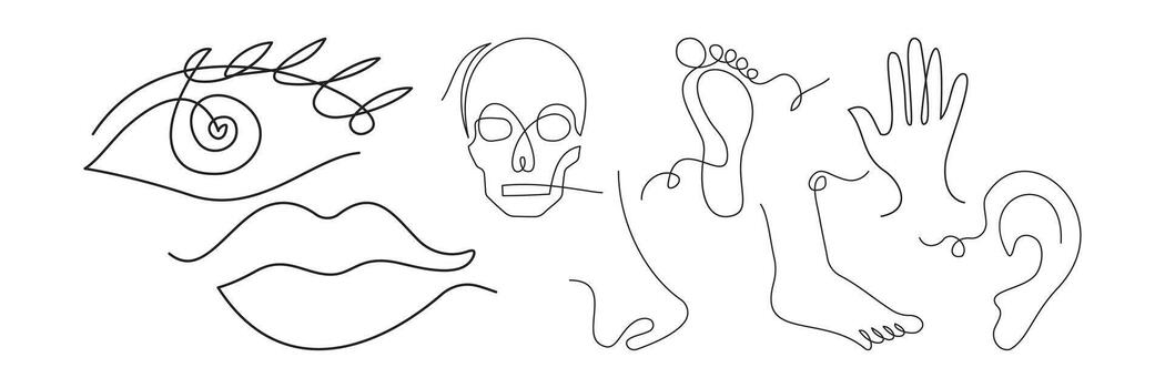 Minimalist continuous line illustrations of diverse human body parts. Elegant single-line icon set with smooth, flowing contours. vector