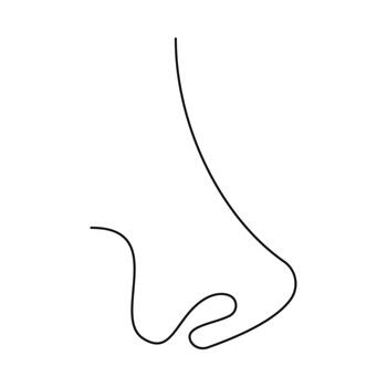 Minimalist continuous line drawing showcasing diverse human body parts in elegant single-line style. Artistic simplicity with fluid strokes. vector