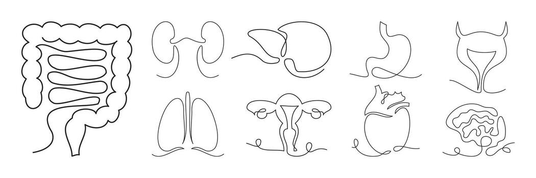 Minimalist continuous line drawings of diverse human body parts. Elegant single-line icons showcasing artistic simplicity and fluidity. vector