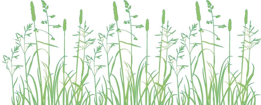 Seamless pattern with wild grass and green leaves. Abstract pattern of spring and summer grass. Green and white background for wallpaper, packaging,fabric vector