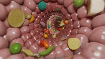 inuti se av mänsklig inälvor med smält mat partiklar friska mage microbiome begrepp abstrakt visualisering matsmältnings systemet hälsa och wellness video