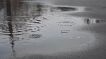 Close up view of raindrops falling into a tranquil urban puddle creating mesmerizing ripples and reflective patterns on the wet surface after a gentle shower video