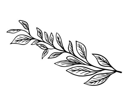 árbol rama mano dibujar ilustración. negro y blanco ramita con hojas recopilación. bosquejo diseño decorativo vector