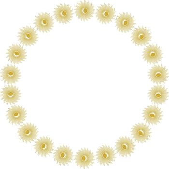 estrella redondo marco. rayos de sol explosión estrella. modelo con vacío espacio F vector