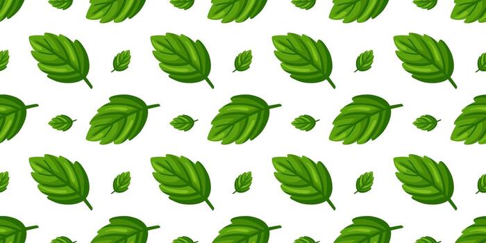 Seamless pattern with large and small green mint leaves arranged in a clean repeat on white background. Cartoon style vector