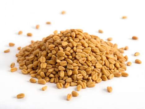 ultra nítido macro Disparo de un pequeño montículo de Fenogreco semillas demostración angular formas, calentar beige tonos, y multa texturas en un puro blanco superficie. foto