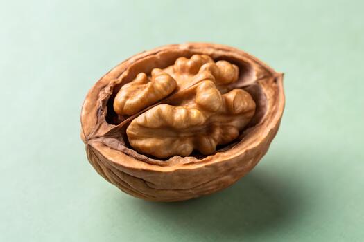 Macro shot of a broken walnut shell revealing a symbolic carved inner chamber, displayed on a soft pastel sage background with minimal clean lighting. photo