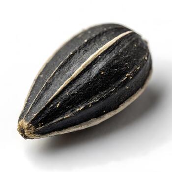 hipermacro de cerca de un soltero kalonji semilla demostración mate negro textura, angular facetas, y cristalino grano modelo en un puro blanco antecedentes. foto