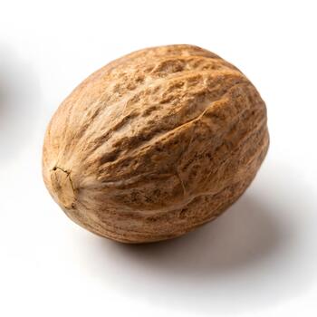 Híper realista macro de un soltero nuez moscada semilla demostración escabroso textura, natural poros, y leñoso contornos en un limpiar puro blanco antecedentes. foto