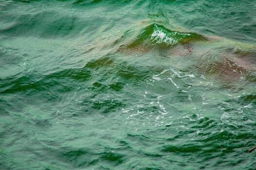 parte superior abajo ver de verde Oceano agua con pequeño olas creando dinámica patrones en el superficie, exhibiendo el natural belleza y movimiento de el mar, ideal para antecedentes y texturas foto