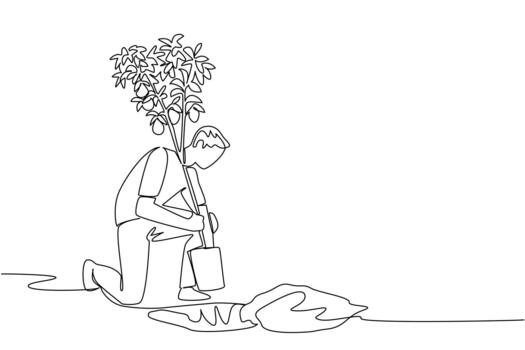 Single continuous line drawing a man inserts lemon tree bearing fruit into a hole in the ground. Well cultivated. Delicious and refreshing. Plant a Lemon Tree Day. One line design vector