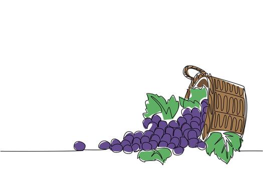 Continuous one line drawing green grapes with leaves in wicker basket and scattered grapes. The harvest is blessed with abundant result. National Grape Day. Single line draw design illustration vector