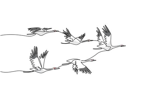Single continuous line drawing a group of whooping cranes in flight with their wings in various positions. Formation during migration. Together. Whooping Crane Day. One line design illustration vector