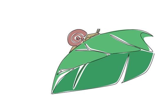 Continuous one line drawing snail walking beside leaf. Perch on the leaves at once to crush them completely. Trying to adapt. Habitat. National Snail Day. Single line draw design illustration vector