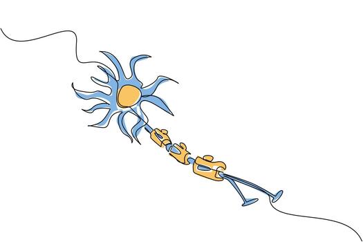 Single continuous line drawing multiple sclerosis nerves. Autoimmune disease disorders. Attacks healthy nerve cells. Symptom. Sick. World Multiple Sclerosis Day. One line design illustration vector