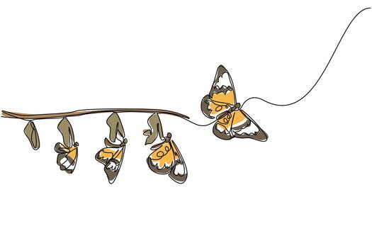 Single continuous line drawing the evolution from cocoon to butterfly attached to tree branch. A beautiful transformation. Butterfly Education and Awareness Day. One line design illustration vector