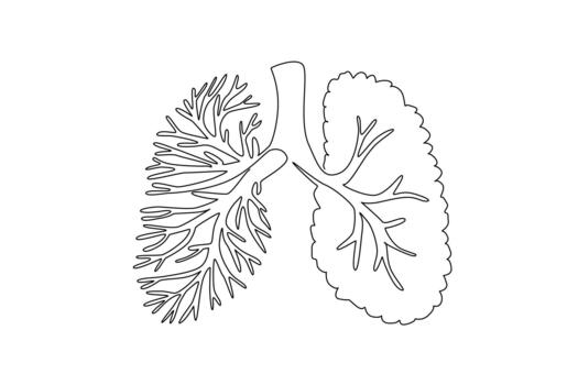 Single one line drawing dry branches with many twigs without leaves forming lungs. Differences in air quality affect the lungs. Breathing. Tree Concept. Continuous line design illustration vector