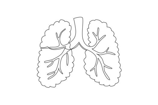 Single continuous line drawing branches with leafy leaves form lungs. Healthy air has good effect on lungs. Breathe clearer with a green environment. Tree Concept. One line illustration vector