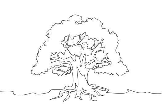 Single continuous line drawing large tree with shady leaves and branched roots. Fertile soil helps trees grow until they are shady. Dense banyan tree. Tree Concept. One line design vector