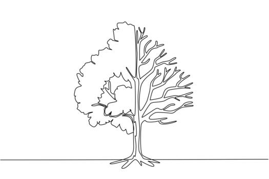 continuo uno línea dibujo grande árbol con lozano hojas y seco hojas en cada lado. estacional cambios. clima cambiar. ambiental adaptación. árbol concepto. soltero línea dibujar ilustración vector