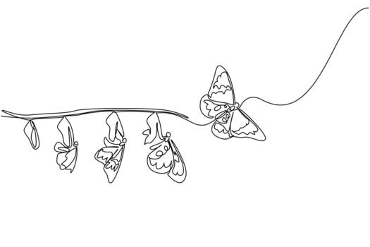 Single continuous line drawing the evolution from cocoon to butterfly attached to tree branch. A beautiful transformation. Butterfly Education and Awareness Day. One line design vector
