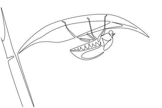Single line drawing of a june bug hanging under a leaf, reflecting nature concept and June Bug Day theme, emphasizing ecological awareness, insect life cycles, and environmental harmony. vector