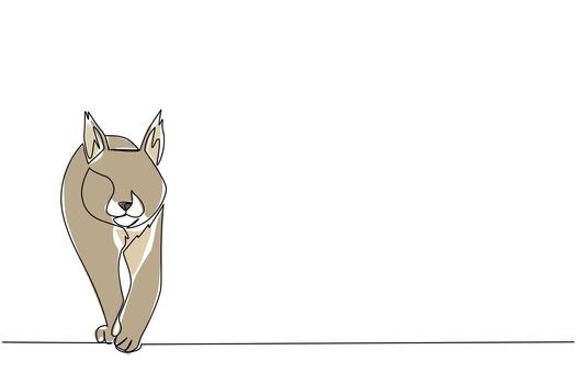Continuous line drawing of a lynx walking forward with strength and focus. Nature concept symbolizing wilderness resilience, designed for International Lynx Day conservation theme. vector