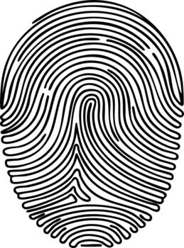 Isolated Line Art Depicting a Distinctive Fingerprint for Biometric or Forensic Applications vector