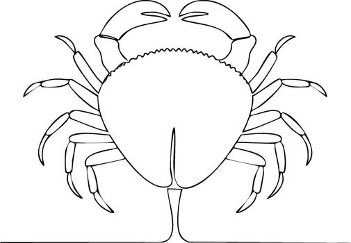 Elegant Single Line Drawing of a Blue Crab with Detailed Claws and Shell vector