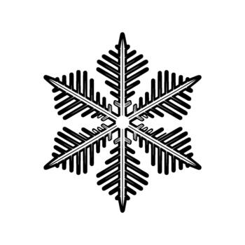 A detailed illustration of a classic sixpointed snowflake with intricate branching patterns vector