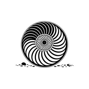 A stylized illustration of a nautilus shell with intricate spiraling chambers vector