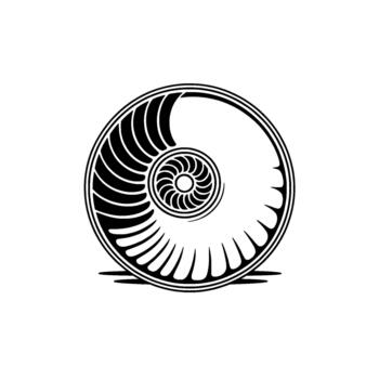 Striking illustration of a stylized ammonite shell with intricate spiral patterns and radiating lines vector
