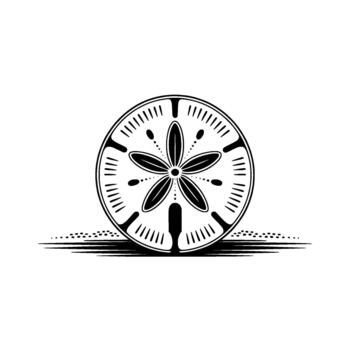 Detailed illustration of a single perfect sand dollar with intricate petal like patterns and a distinct starburst center resting vector