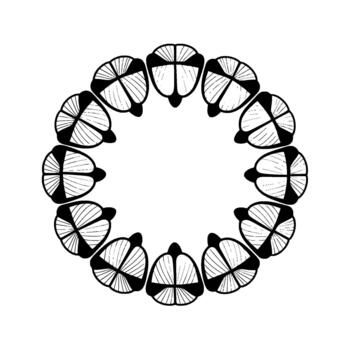 A striking monochrome circular pattern composed of stylized fan shaped elements with radiating internal lines and a subtle border vector