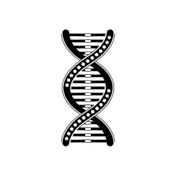 un sorprendentes ilustración de un estilizado doble hélice adn hebra con claro definido líneas y circular bases vector