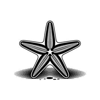 A striking illustration of a fivepointed starfish with intricate line detailing and a subtle horizontal hatched shadow effect vector