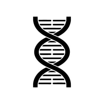 un minimalista de un adn doble hélice estructura con horizontal líneas representando base pares vector