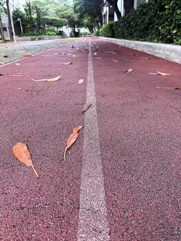Red Rubber Running Track in Park with Fallen Leaves Outdoor Jogging Path photo