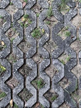 Top view texture of concrete turf block paving with sand, small weeds, and dry leaves photo