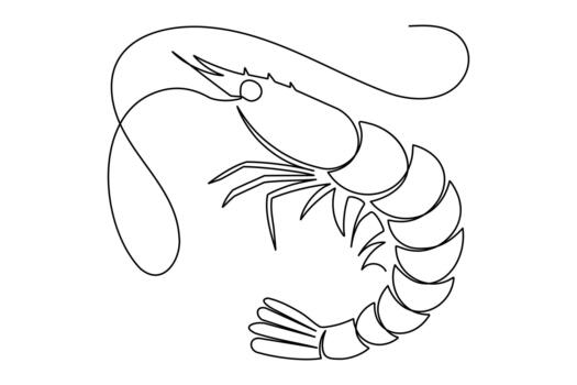 Continuous line drawing of a shrimp icon minimalist design simple vector