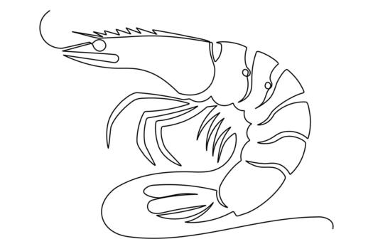 Shrimp icon continuous one line drawing minimalist style isolate outline vector
