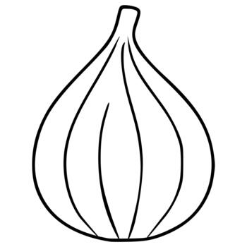 mano dibujado ilustración de un soltero maduro higo con un provenir, exhibiendo sus distintivo segmentario forma y negrita describir. vector