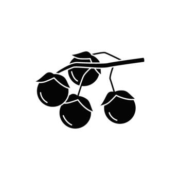 rama con cuatro bayas ilustración, un sencillo aún elegante diseño elemento para varios creativo proyectos vector